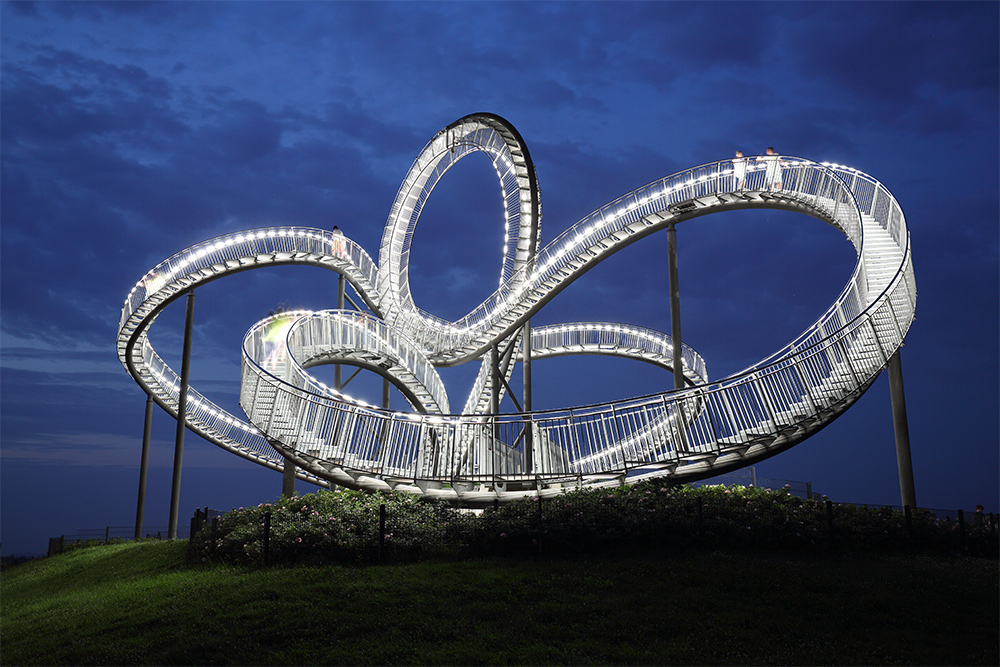 Tiger & Turtle