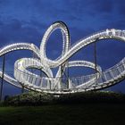 Tiger & Turtle