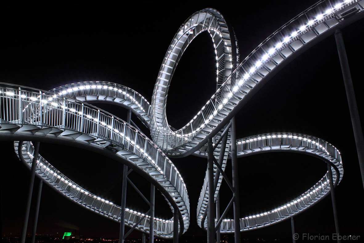 Tiger & Turtle