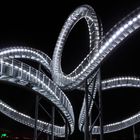 Tiger & Turtle