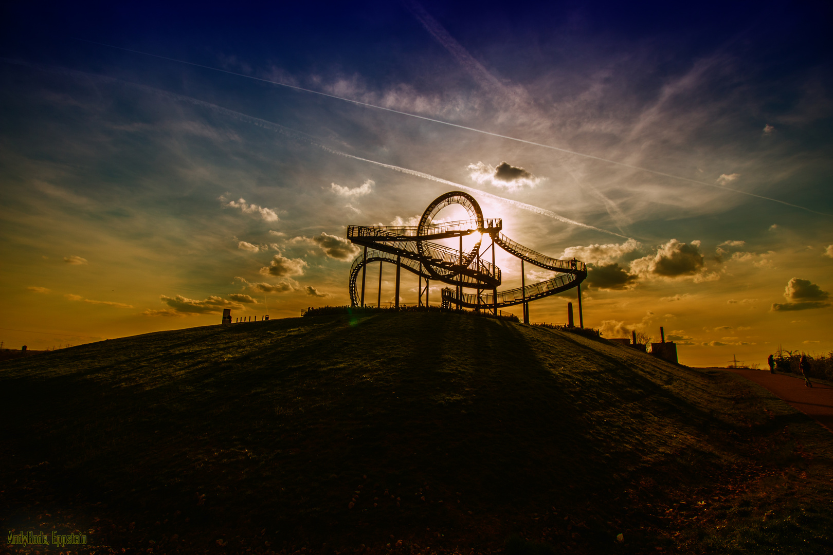 Tiger & Turtle