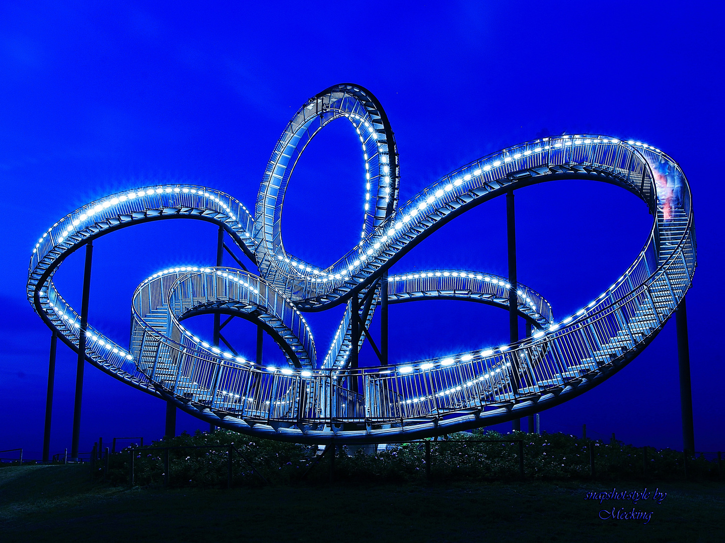 Tiger & Turtle