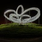 Tiger & Turtle