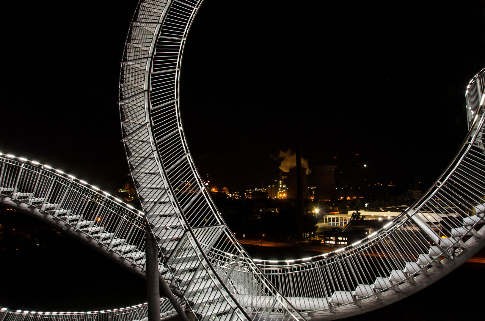 Tiger & Turtle