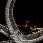 Tiger & Turtle