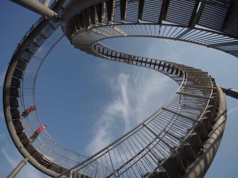 Tiger & Turtle