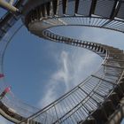 Tiger & Turtle