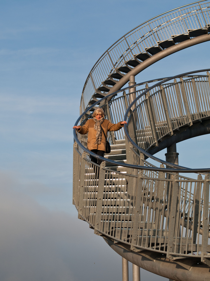 Tiger & Turtle 5