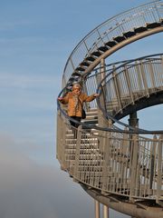 Tiger & Turtle 5