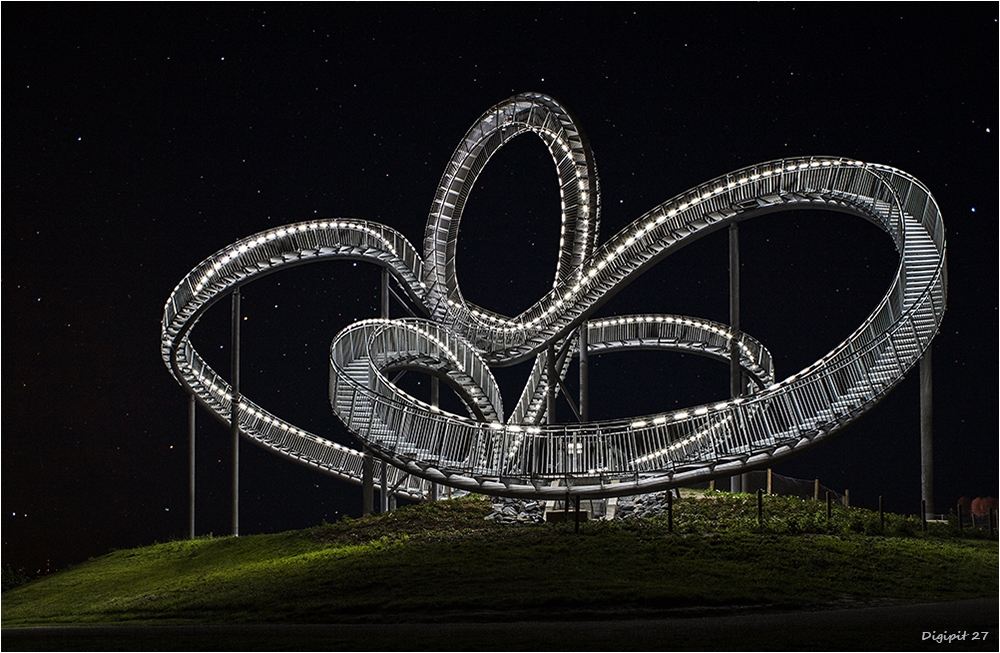 Tiger & Turtle 5