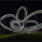 Tiger & Turtle 5