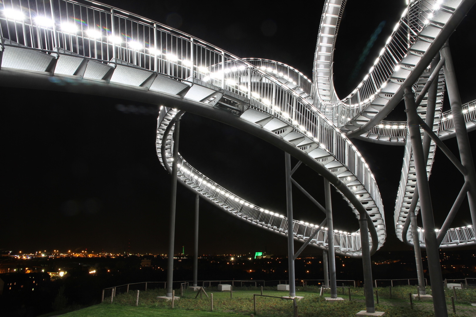 Tiger & Turtle 5