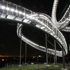 Tiger & Turtle 5