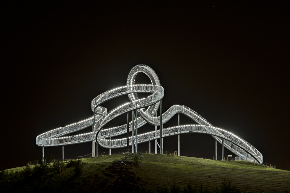 Tiger & Turtle 5