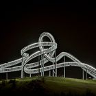 Tiger & Turtle 5