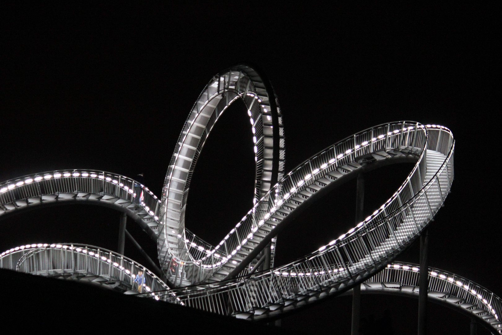 Tiger & Turtle 5