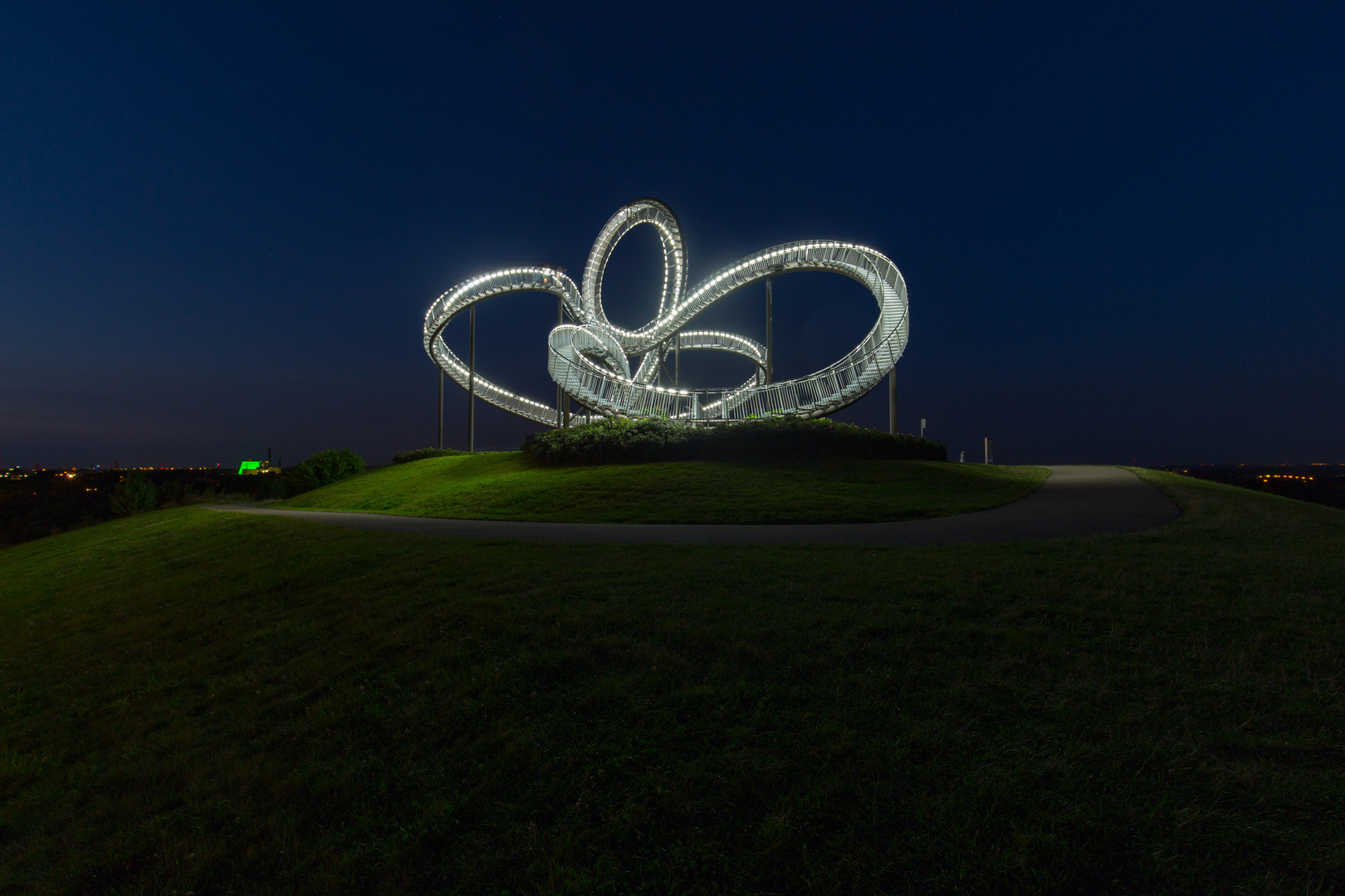 Tiger & Turtle