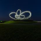 Tiger & Turtle