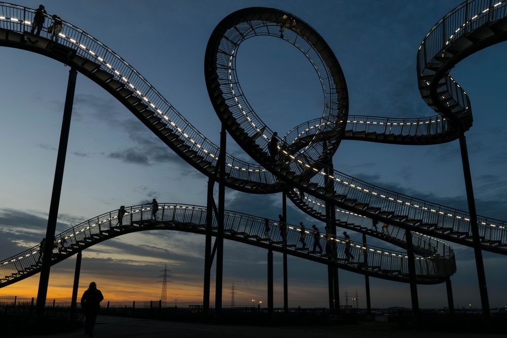 Tiger & Turtle