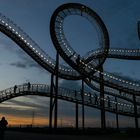 Tiger & Turtle