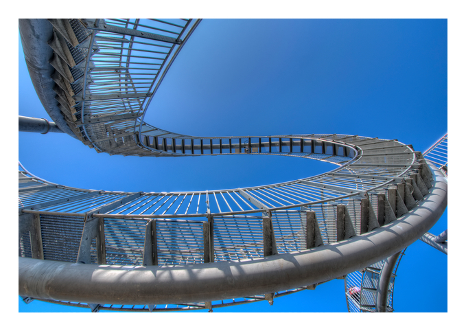 Tiger + Turtle