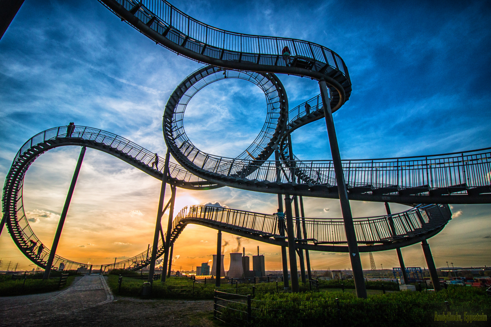 Tiger & Turtle