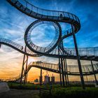 Tiger & Turtle