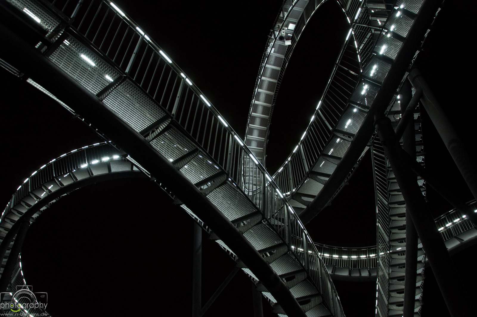 Tiger & Turtle