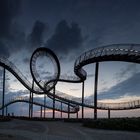 ....tiger & turtle...