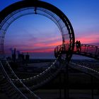 Tiger & Turtle