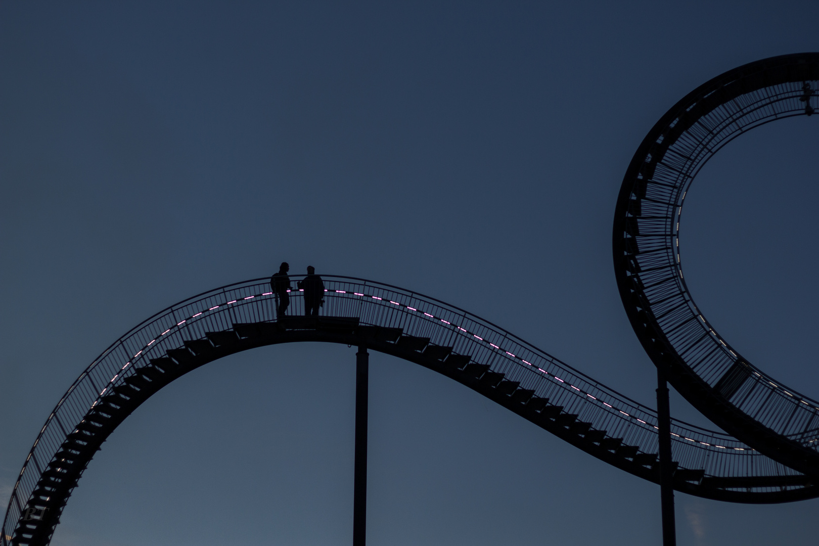 Tiger & Turtle