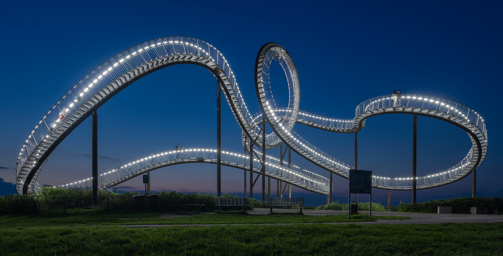 Tiger & Turtle