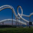 Tiger & Turtle