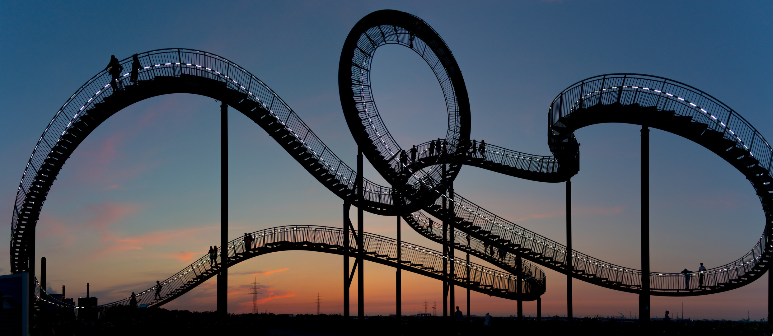 Tiger & Turtle