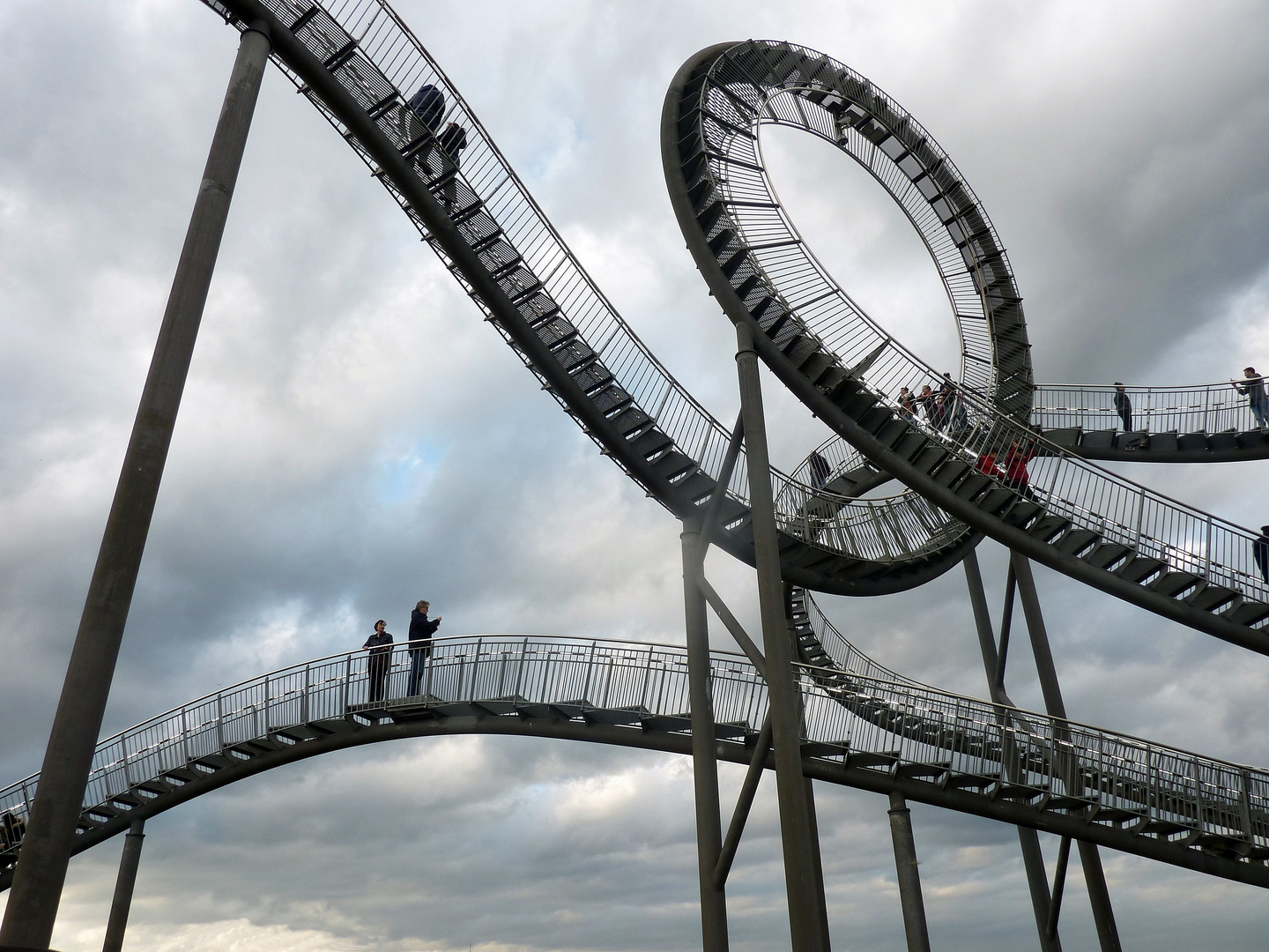 tiger & turtle