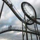 tiger & turtle