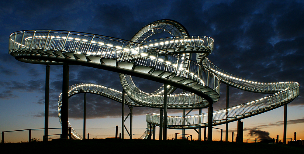 Tiger & Turtle