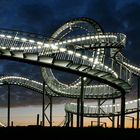 Tiger & Turtle