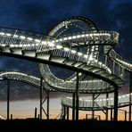 Tiger & Turtle