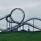 Tiger &Turtle