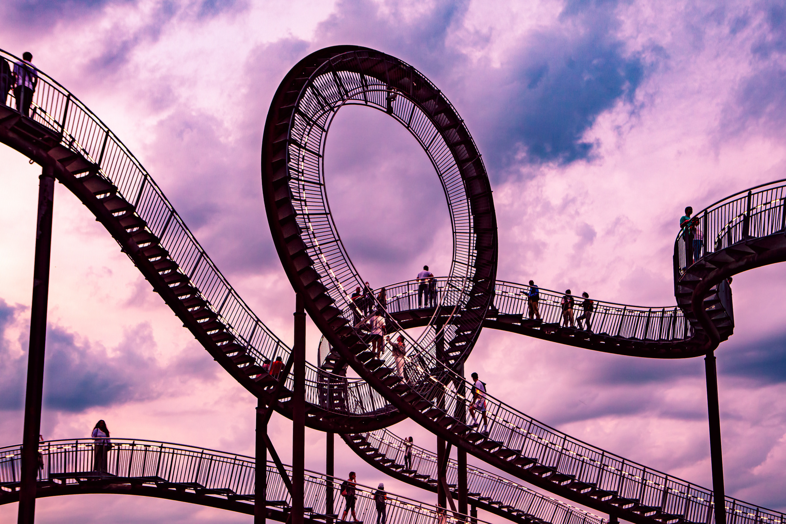 Tiger & Turtle