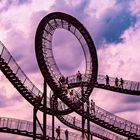 Tiger & Turtle