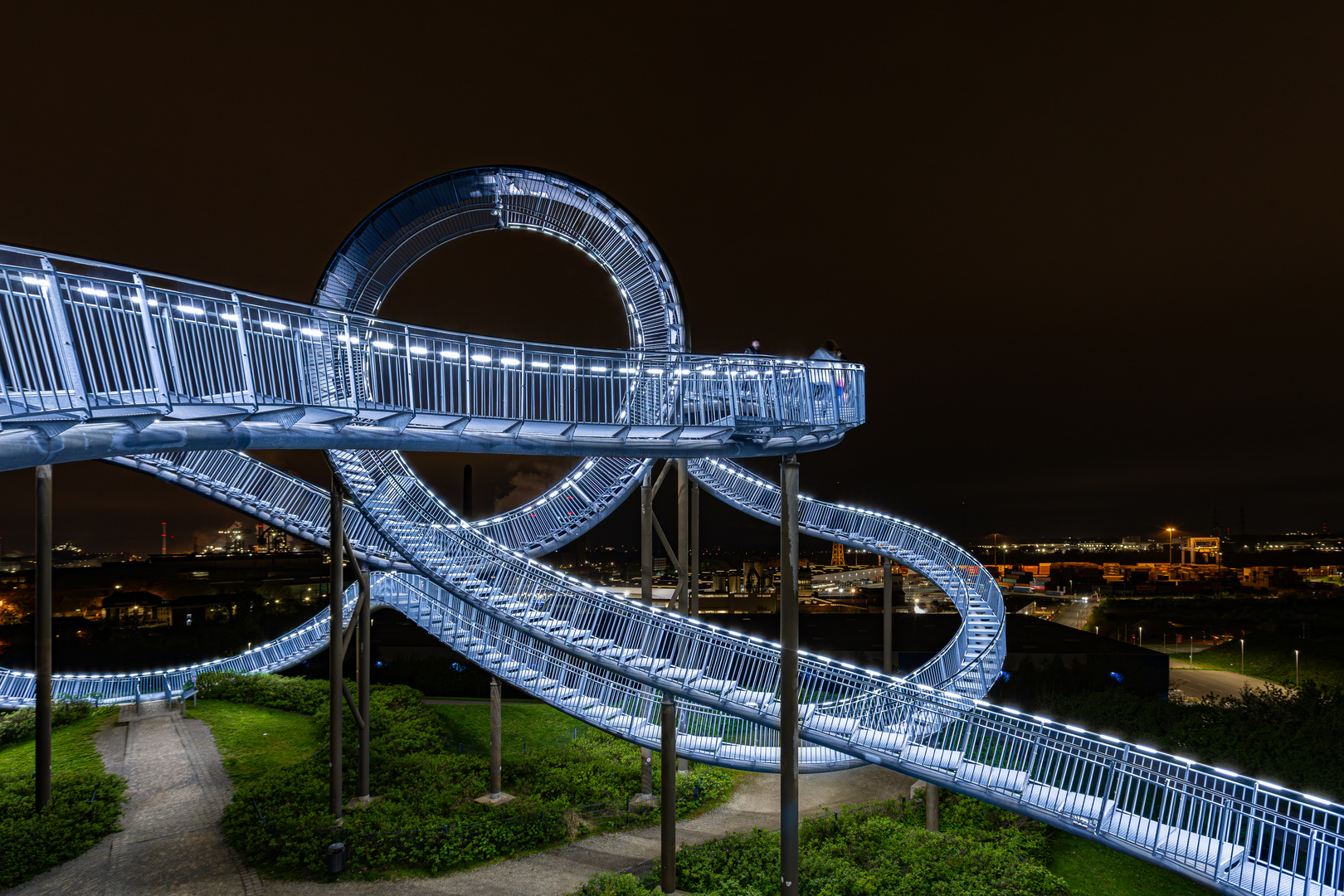 Tiger & turtle