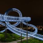 Tiger & turtle