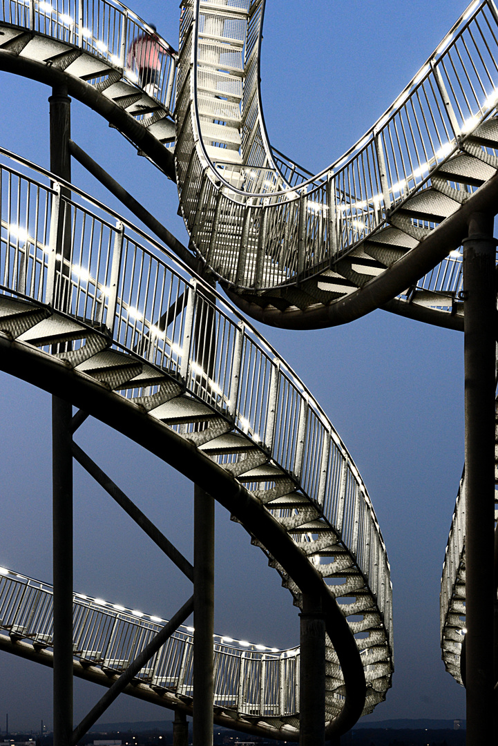 Tiger & Turtle