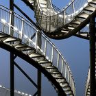 Tiger & Turtle