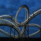 Tiger & Turtle 6