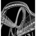 Tiger & Turtle 6