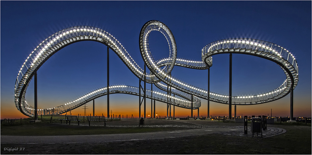 Tiger & Turtle 6