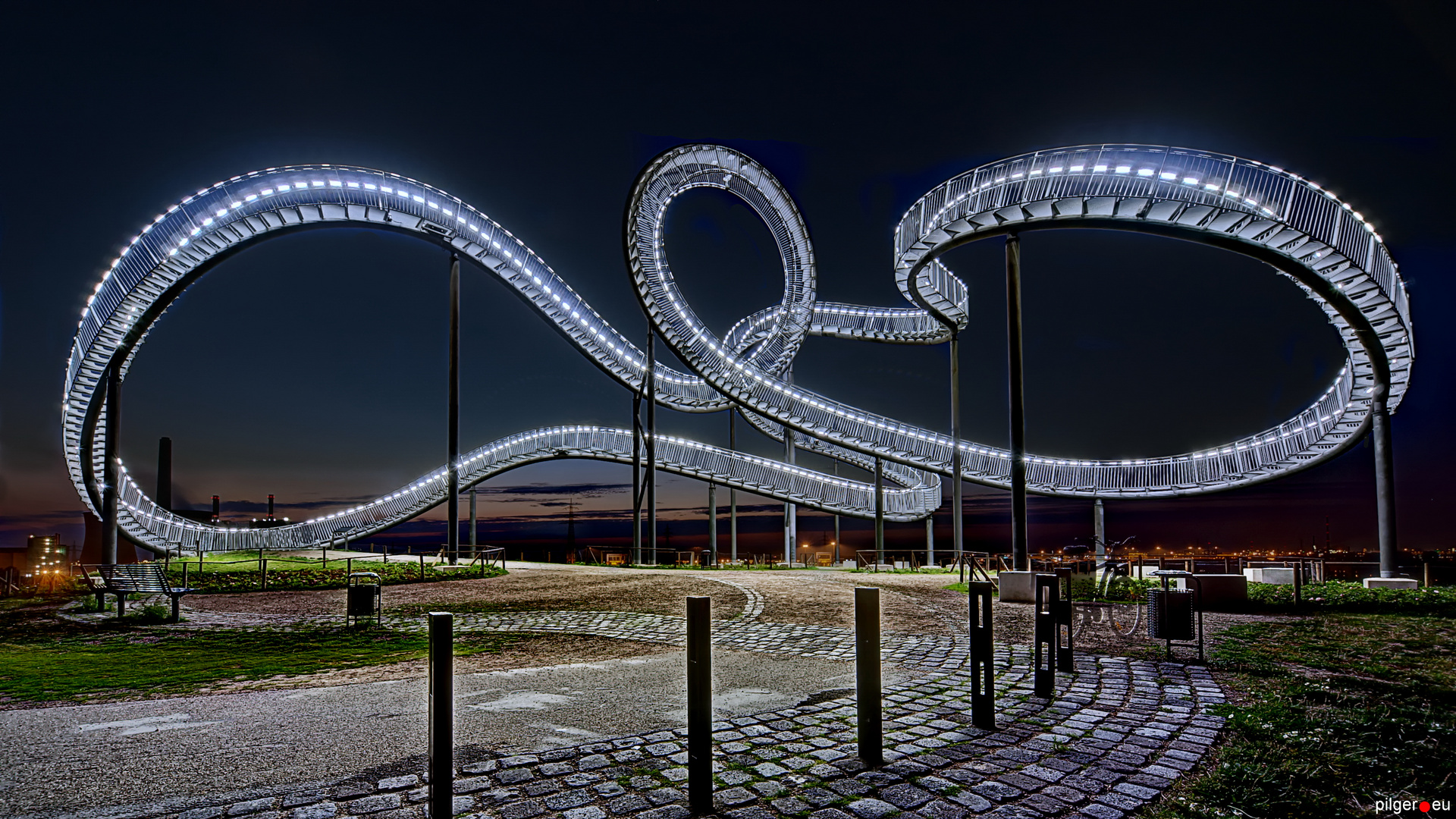 Tiger & Turtle